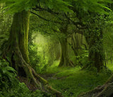 custom-wall-mural-3d-green-forest-wallpaper-sunshine