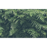 custom-green-leaves-forest-wallpaper-mural