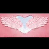 custom-wallpaper-angel-wings-wall-mural