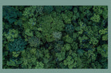 custom-green-leaves-forest-wallpaper-mural