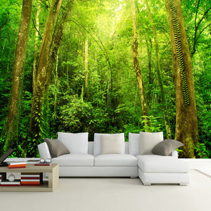 Custom Wallpaper Mural Sunshine Forest Tree Landscape | BVM Home