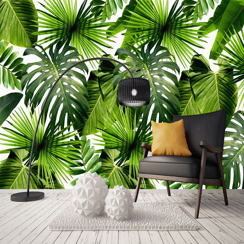 Custom Mural Wallpaper Tropical Rainforest Free Shipping | BVM Home